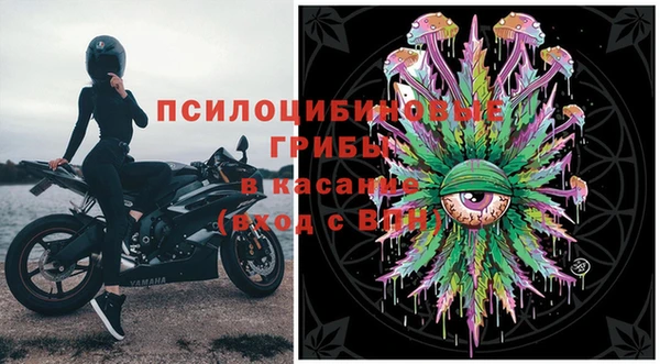 дживик Алексин