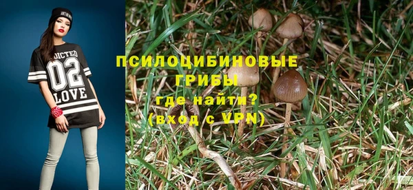 прущие крисы Алзамай
