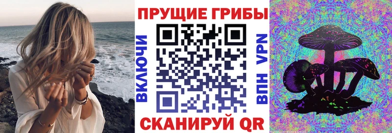 закладки  Феодосия  Галлюциногенные грибы GOLDEN TEACHER 